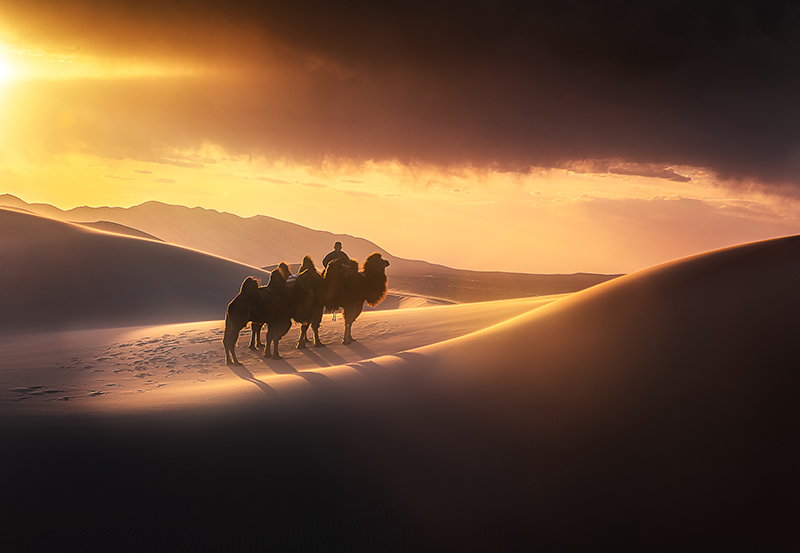 Khongor sand dunes